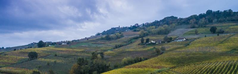 L'Azienda